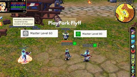 flyff playpark maintenance system.